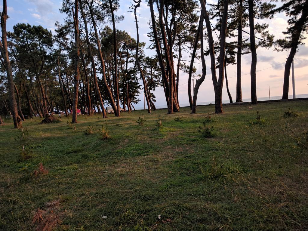 Kobuleti Pines Resort Dış mekan fotoğraf
